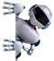 AI