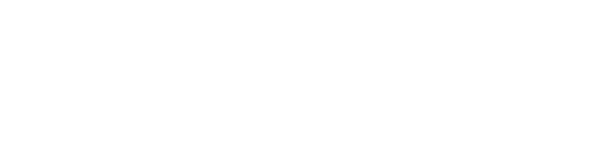 ARIE DIGITAL PAYMENT